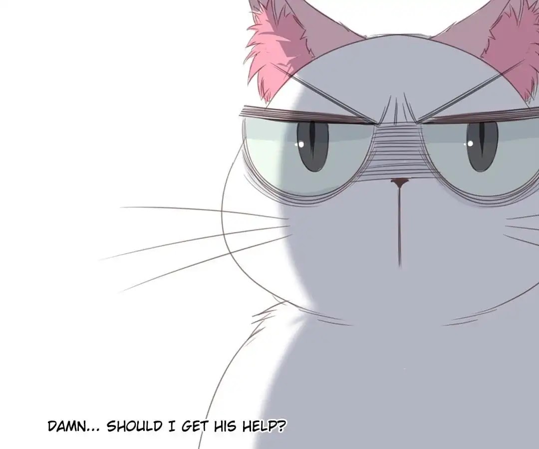 A Cat's World Chapter 13 page 31 - Chapter 13
