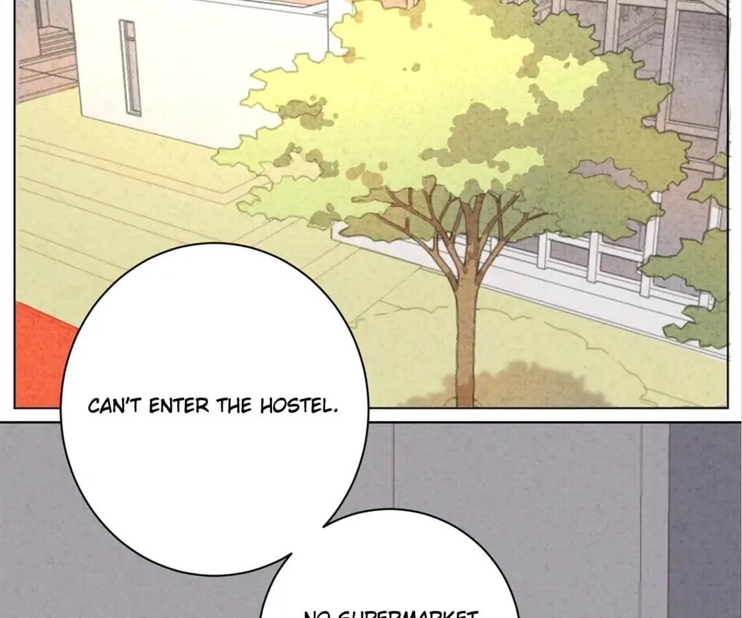 A Cat's World Chapter 13 page 53 - Chapter 13