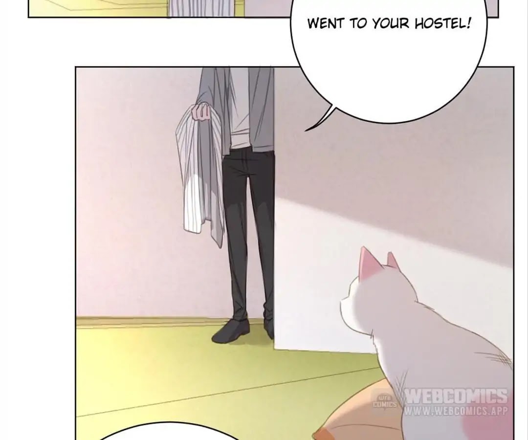 A Cat's World Chapter 13 page 62 - Chapter 13