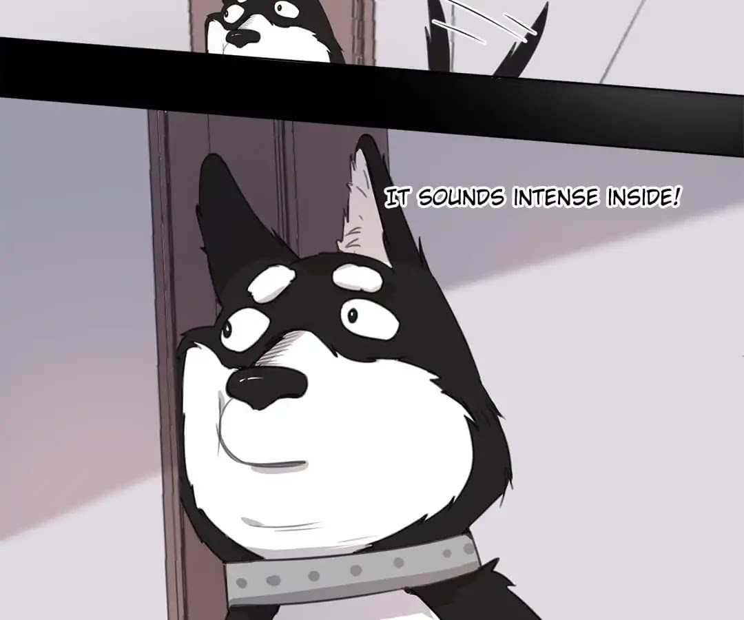 A Cat's World Chapter 15 page 33 - Chapter 15