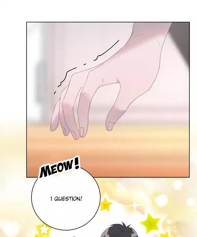 A Cat's World Chapter 15 page 64 - Chapter 15