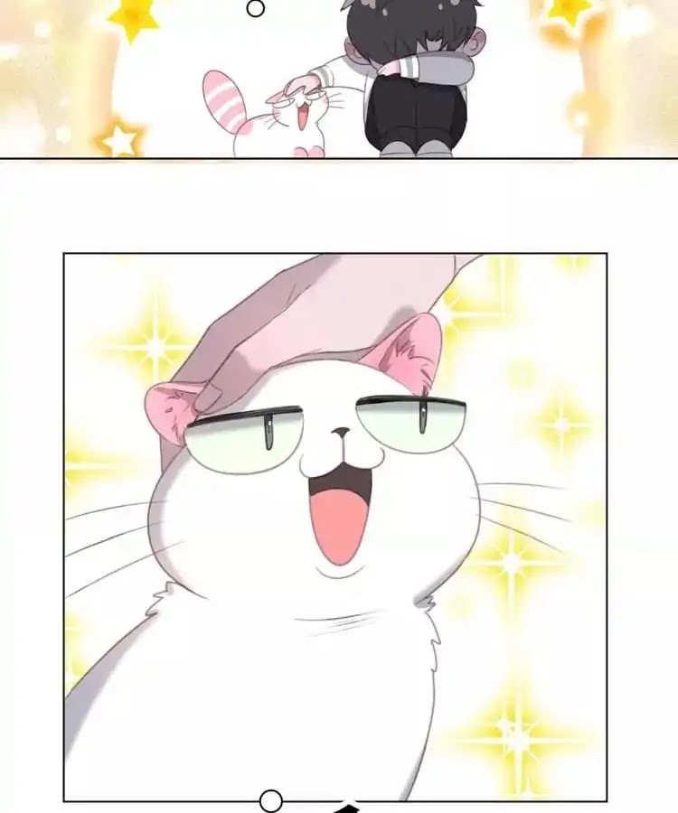 A Cat's World Chapter 15 page 65 - Chapter 15