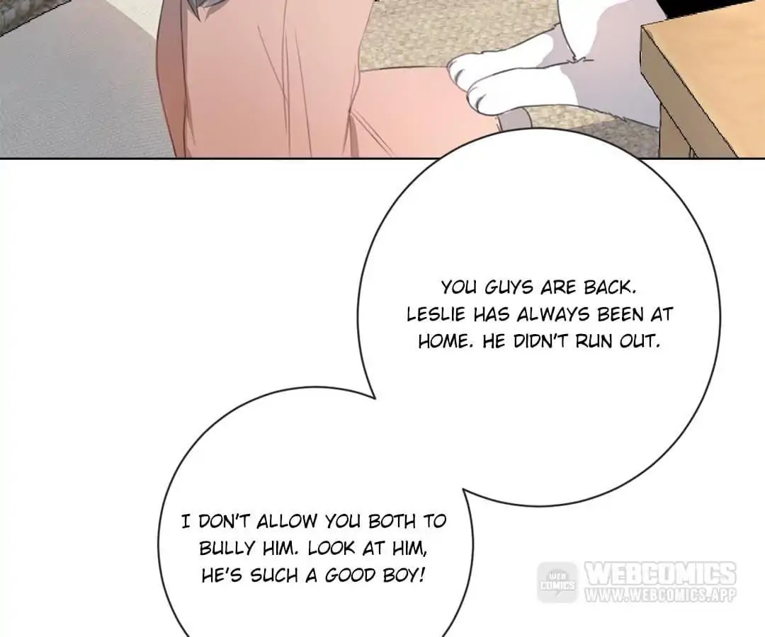 A Cat's World Chapter 17 page 89 - Chapter 17