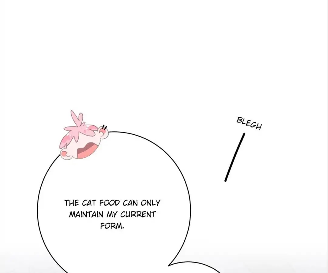 A Cat's World Chapter 19 page 68 - Chapter 19
