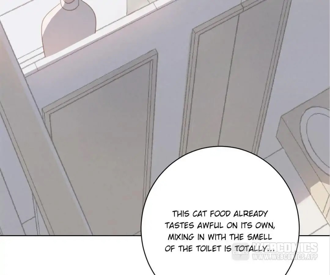 A Cat's World Chapter 19 page 70 - Chapter 19