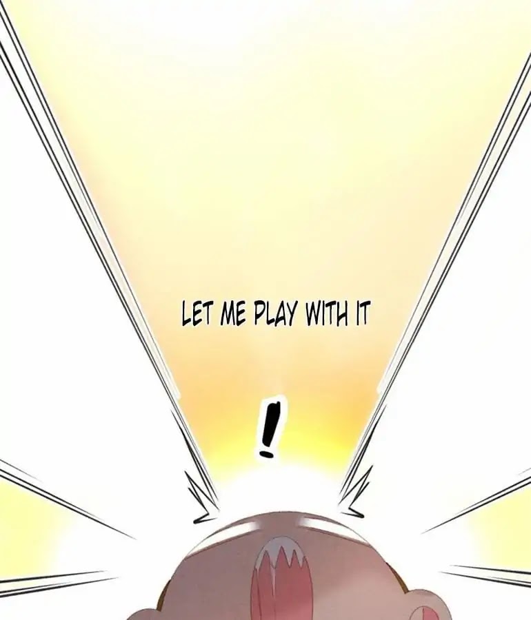 A Cat's World Chapter 20 page 41 - Chapter 20