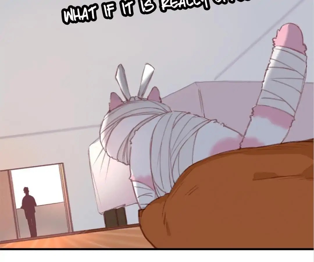A Cat's World Chapter 3 page 16 - Chapter 3: Sweet Trap