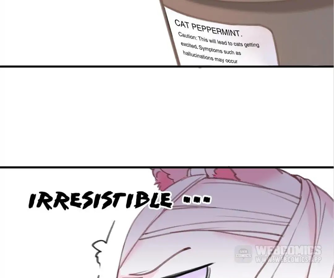 A Cat's World Chapter 3 page 23 - Chapter 3: Sweet Trap