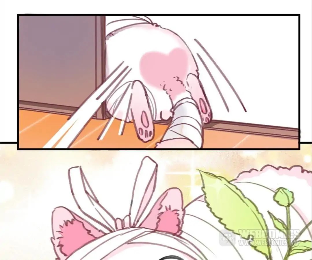 A Cat's World Chapter 3 page 25 - Chapter 3: Sweet Trap