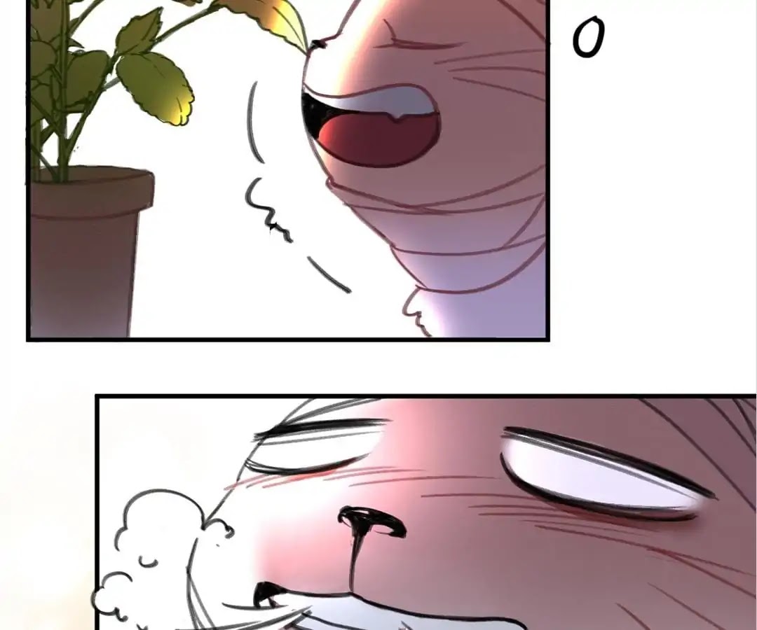 A Cat's World Chapter 3 page 28 - Chapter 3: Sweet Trap