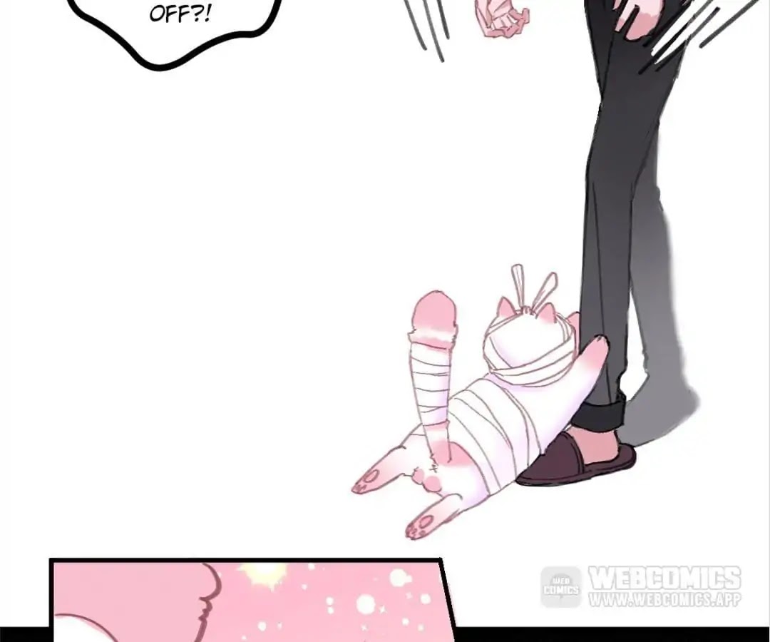 A Cat's World Chapter 3 page 37 - Chapter 3: Sweet Trap