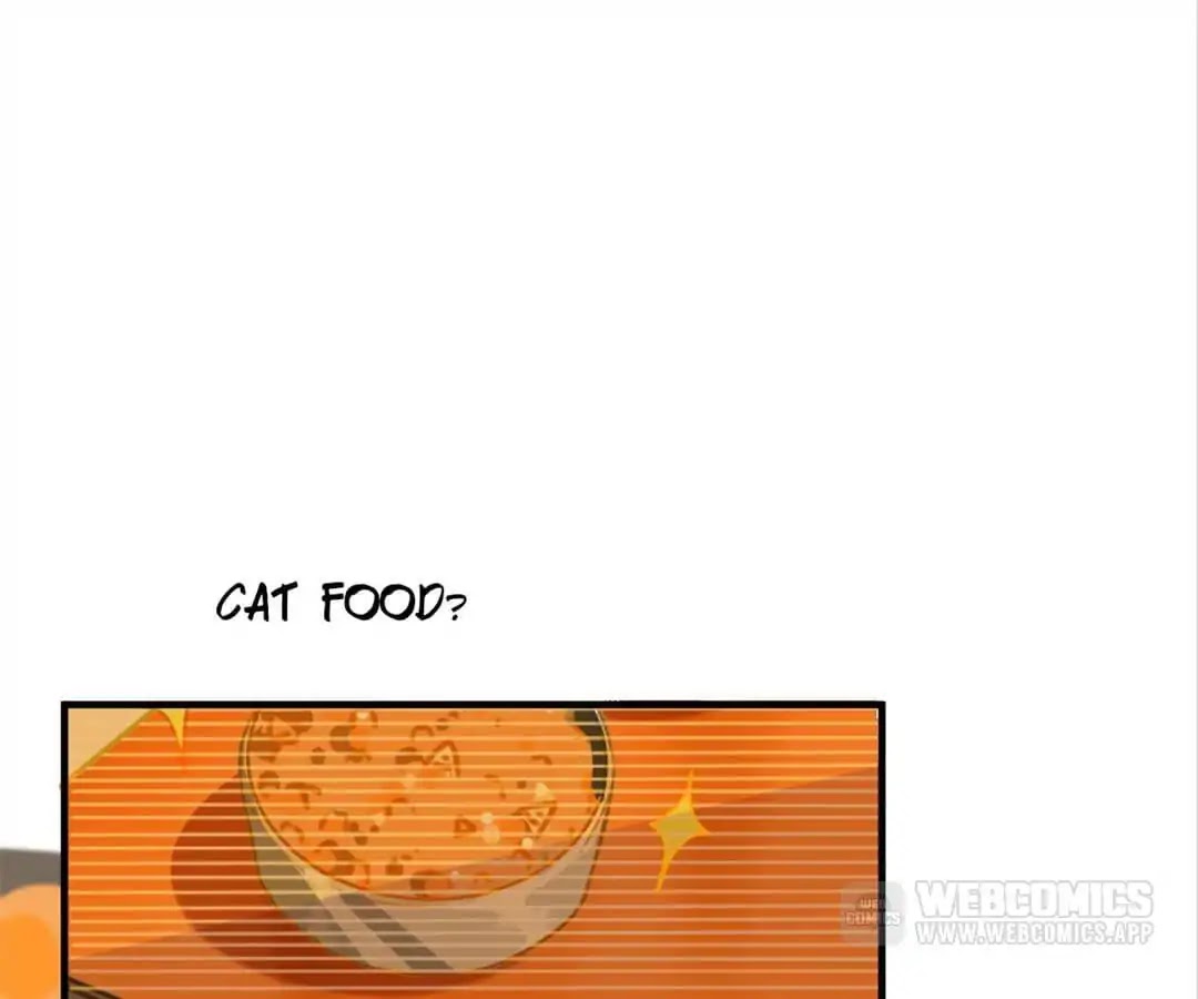 A Cat's World Chapter 3 page 5 - Chapter 3: Sweet Trap