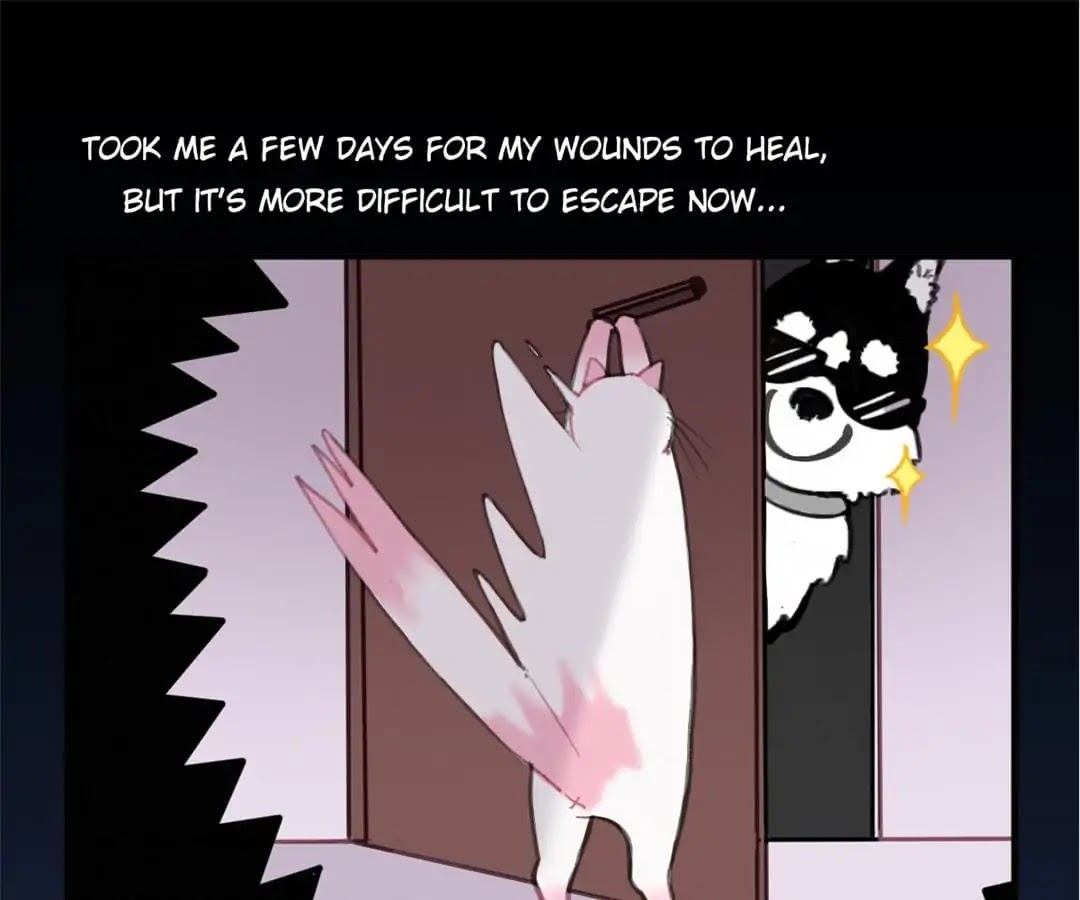 A Cat's World Chapter 6 page 5 - Chapter 6