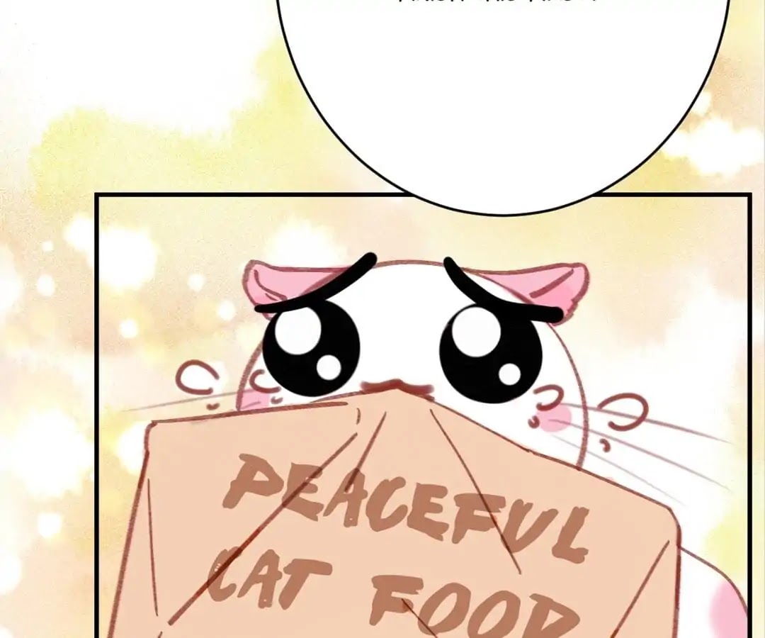 A Cat's World Chapter 6 page 61 - Chapter 6