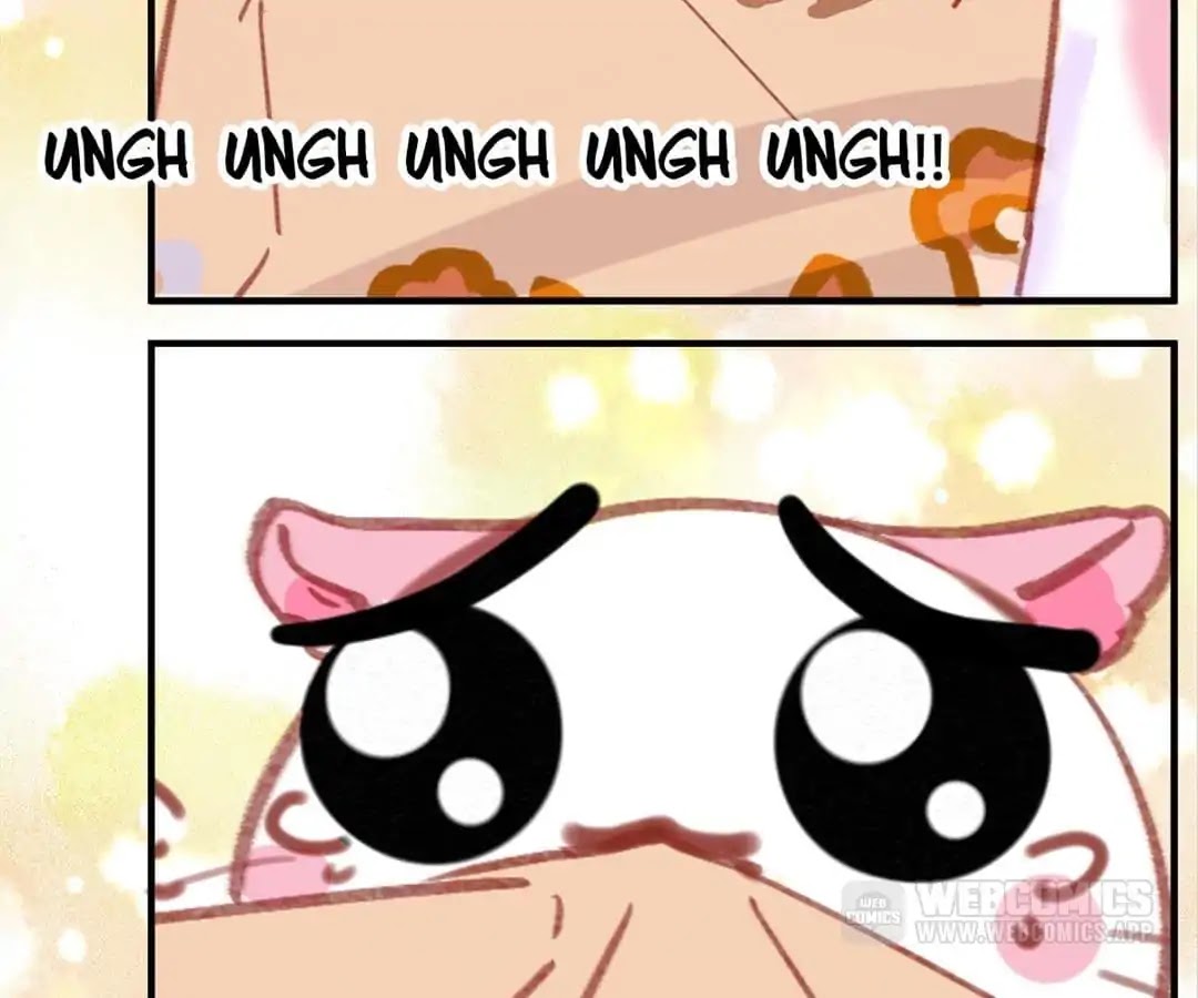 A Cat's World Chapter 6 page 62 - Chapter 6