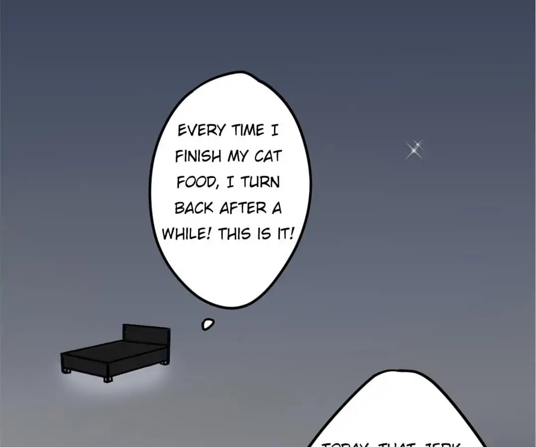 A Cat's World Chapter 6 page 7 - Chapter 6