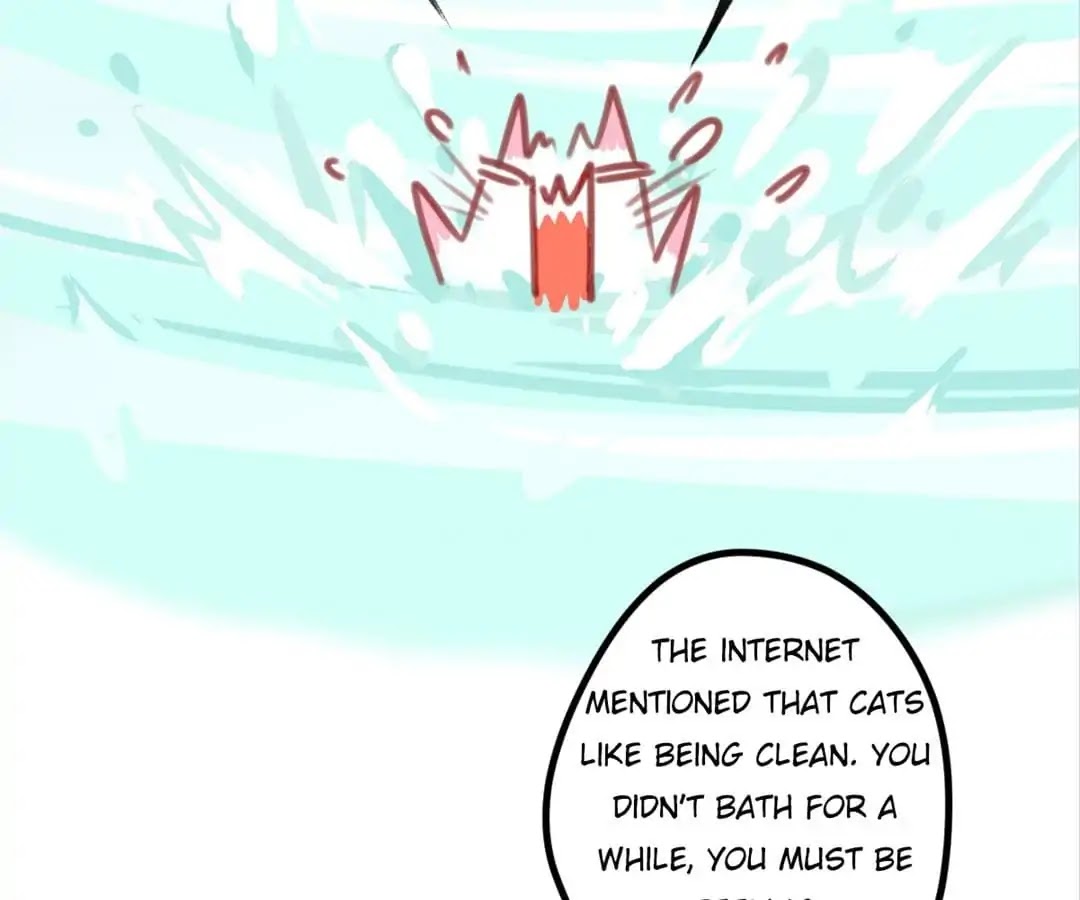 A Cat's World Chapter 6 page 73 - Chapter 6
