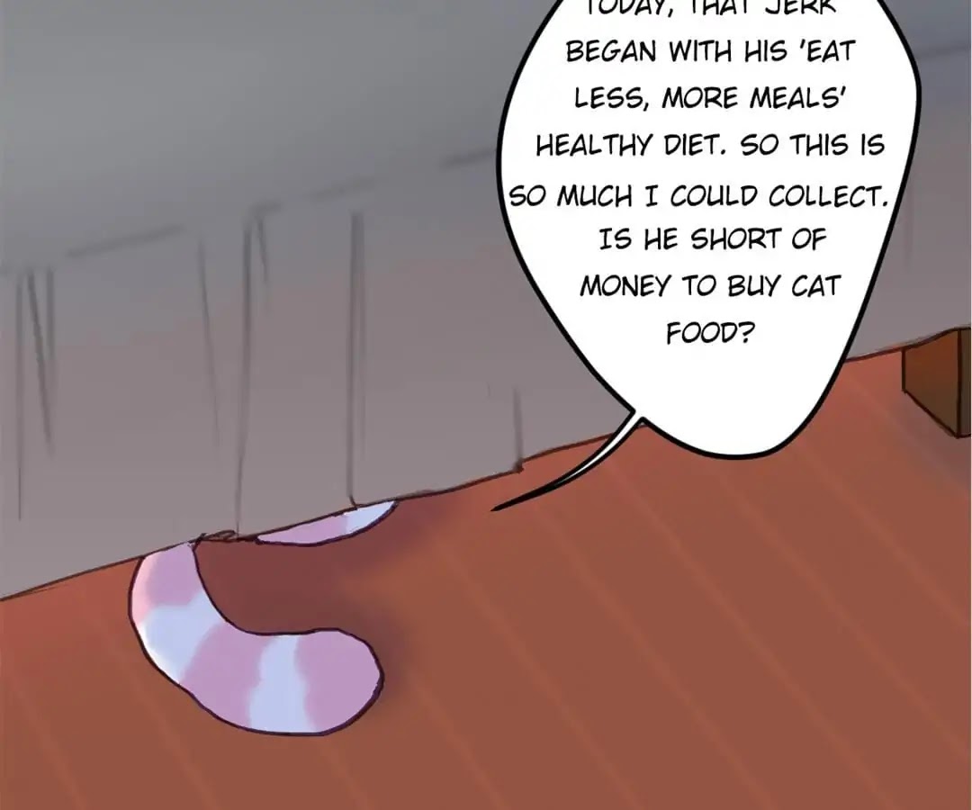 A Cat's World Chapter 6 page 8 - Chapter 6