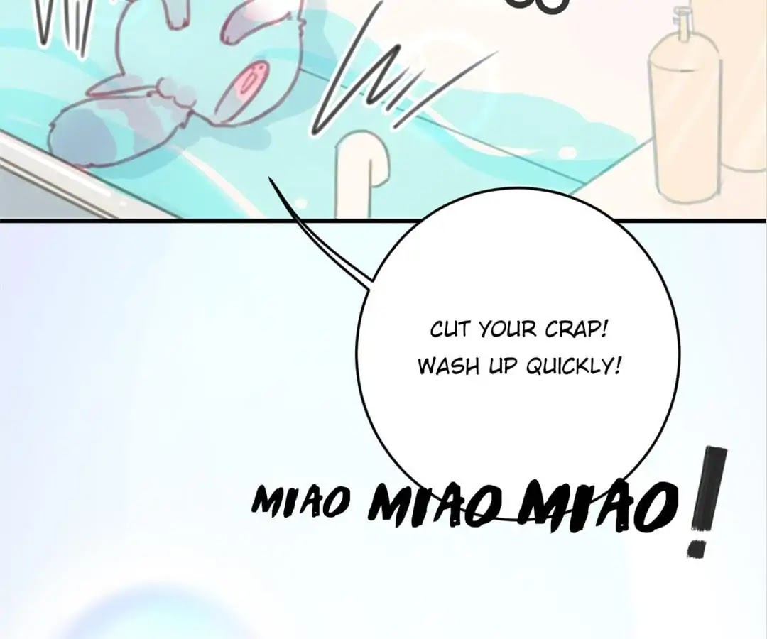 A Cat's World Chapter 6 page 83 - Chapter 6