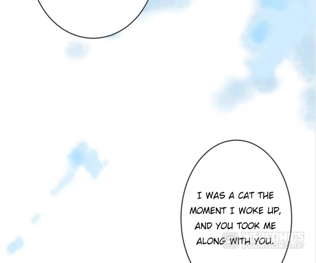 A Cat's World Chapter 7 page 58 - Chapter 7