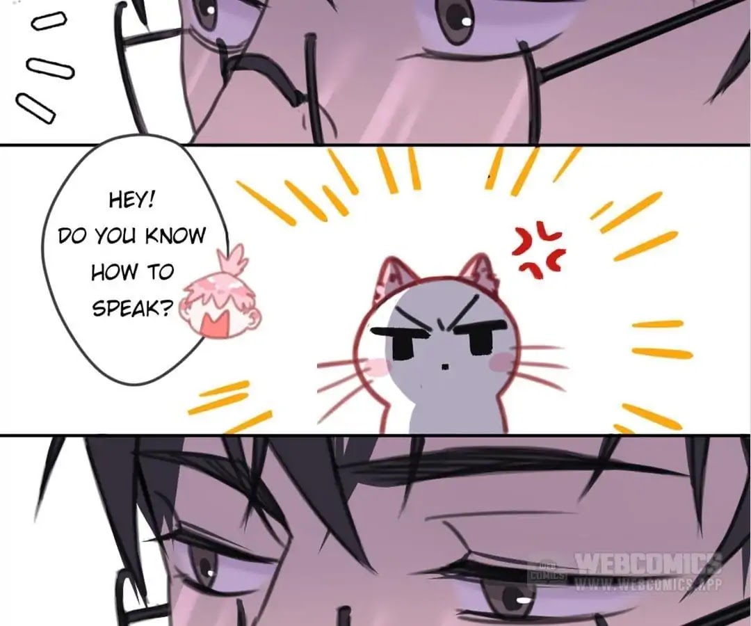 A Cat's World Chapter 7 page 66 - Chapter 7