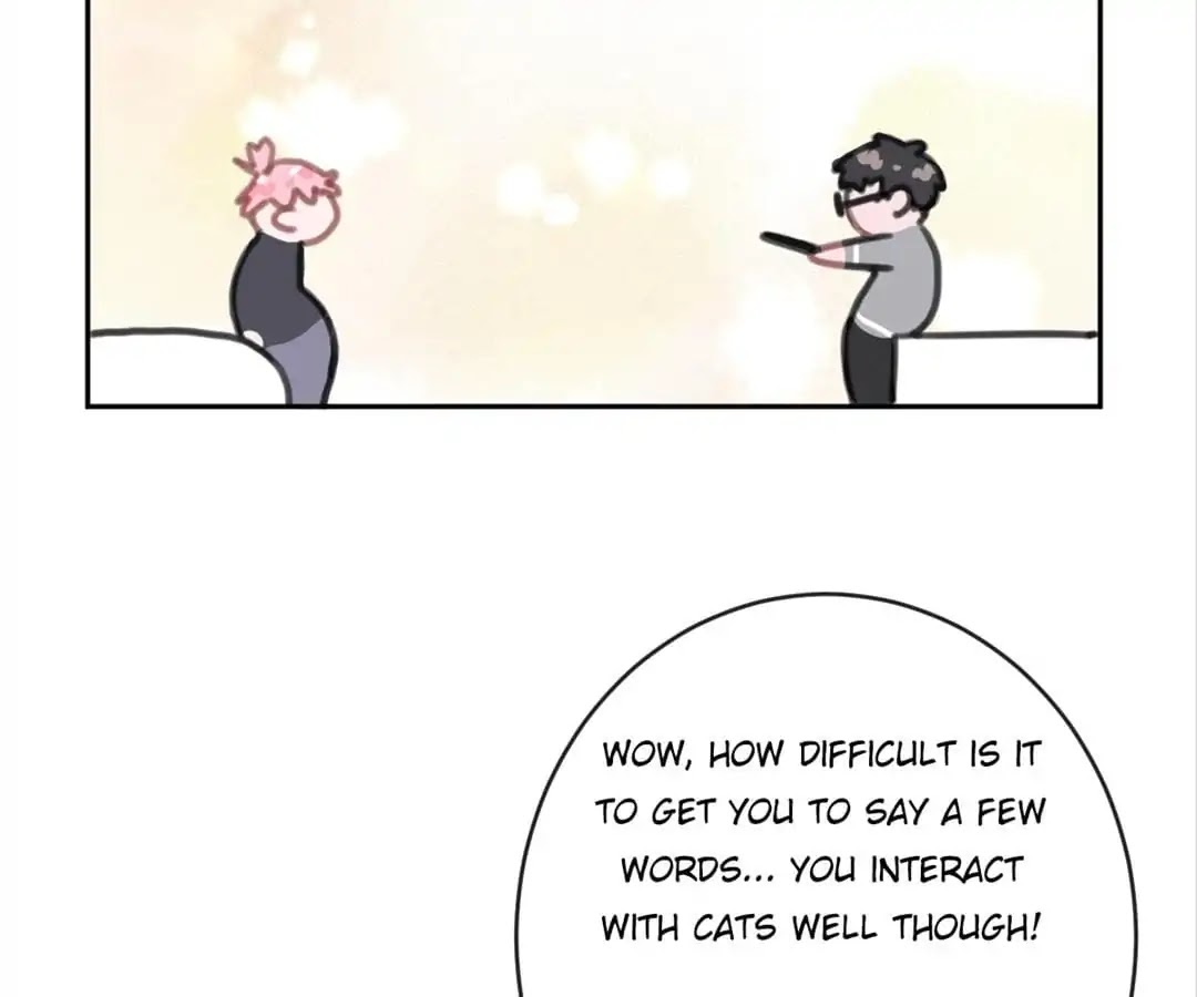 A Cat's World Chapter 7 page 72 - Chapter 7