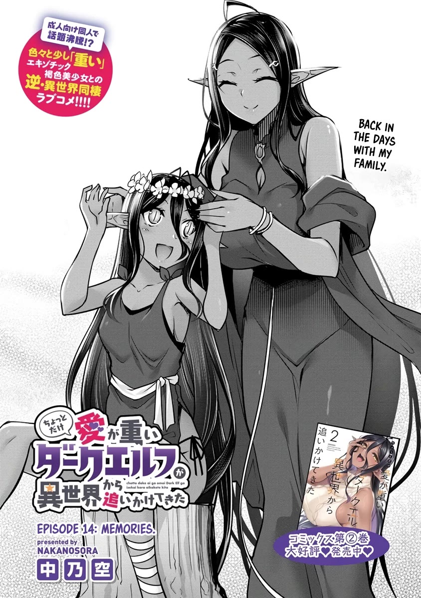 A Dark Elf with a Slightly Overwhelming Love Chased Me All the Way from Another World Chapter 14 page 3 - Chapter 14