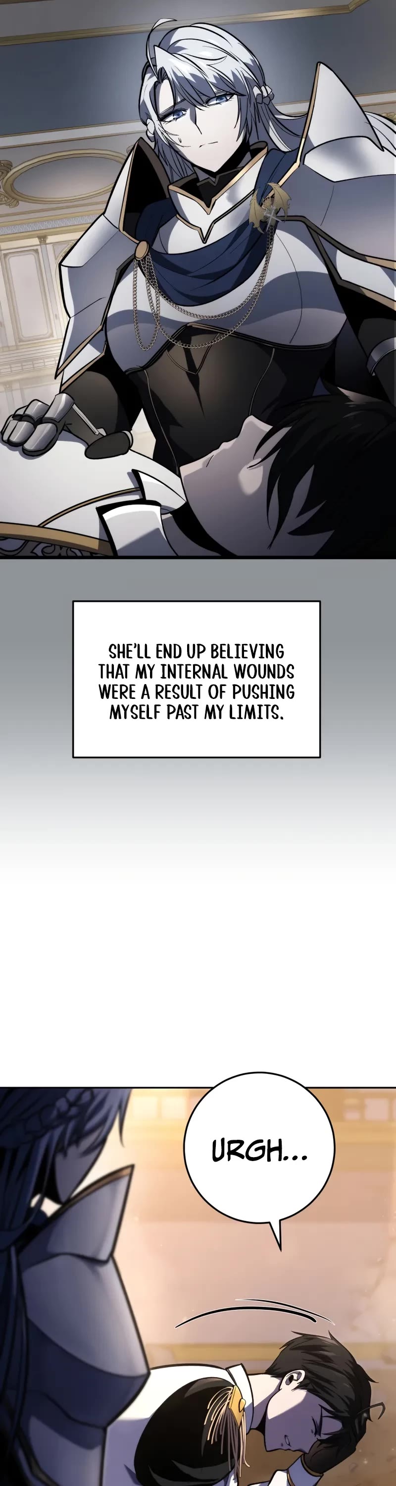 A Dragonslayer's Peerless Regression Chapter 42 page 14 - Chapter 42