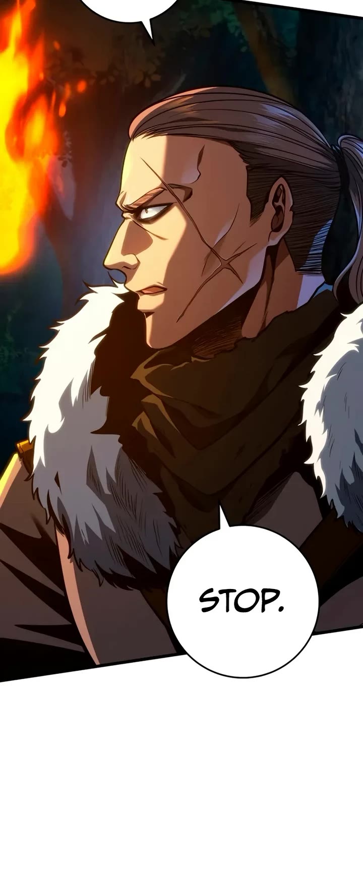 A Dragonslayer's Peerless Regression Chapter 67 page 24 - Chapter 67