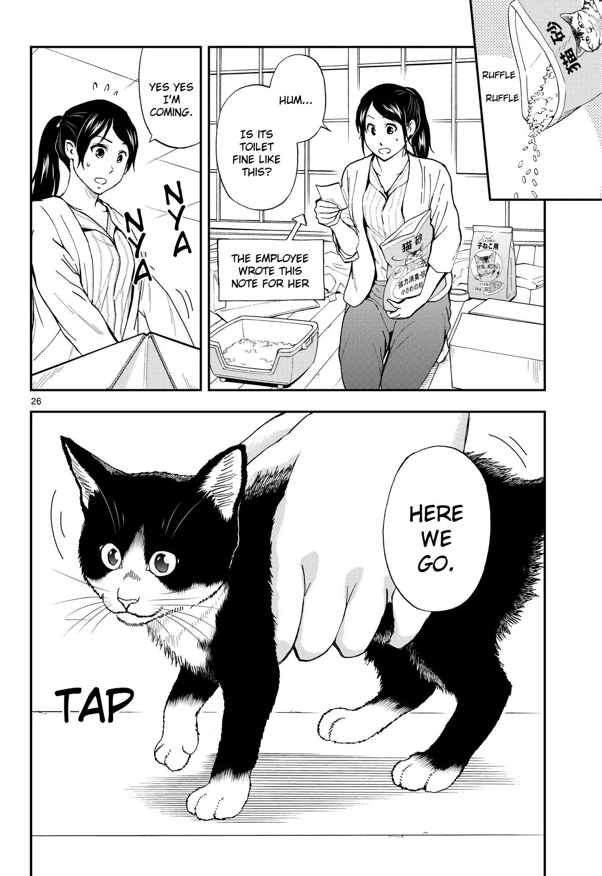 A Gamer Living with a Cat Chapter 1 page 25 - Chapter 1
