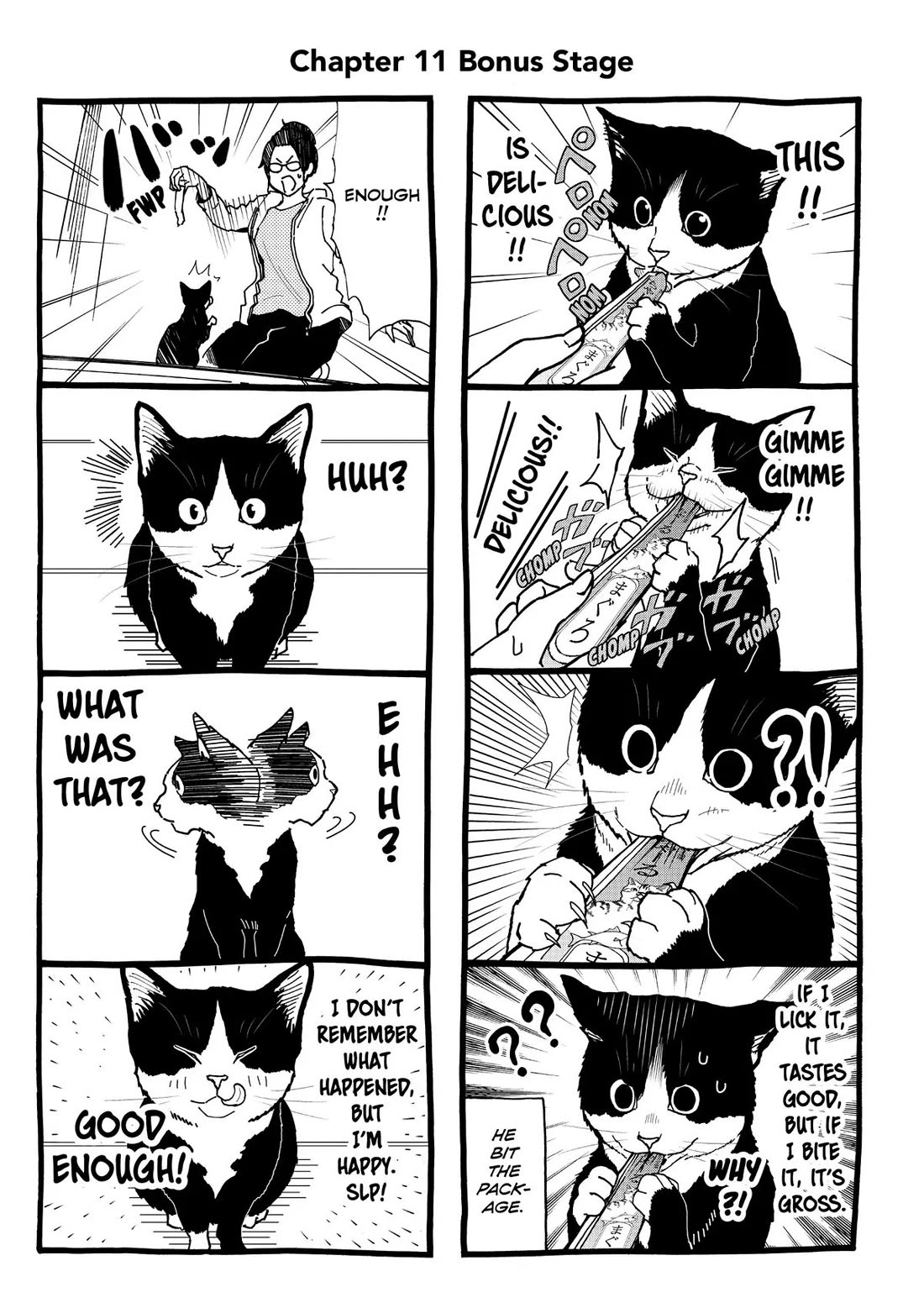 A Gamer Living with a Cat Chapter 11 page 17 - Chapter 11: Berserker Mode