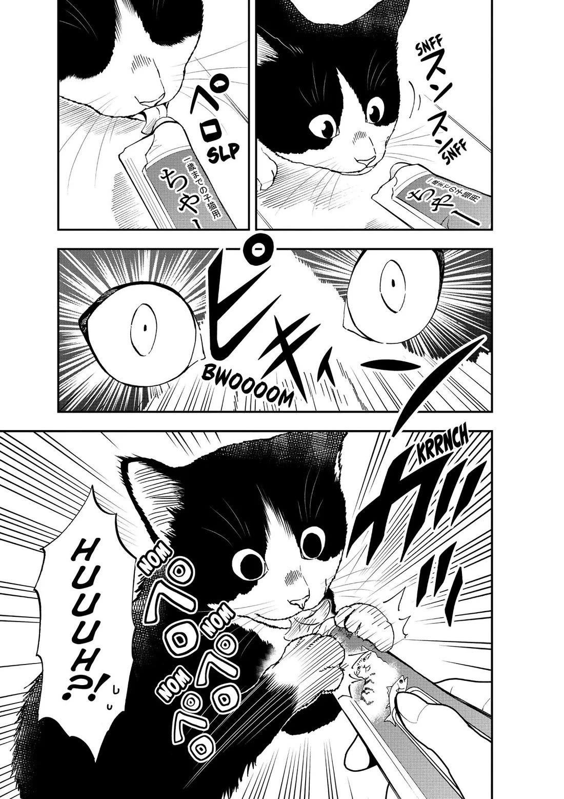 A Gamer Living with a Cat Chapter 11 page 9 - Chapter 11: Berserker Mode