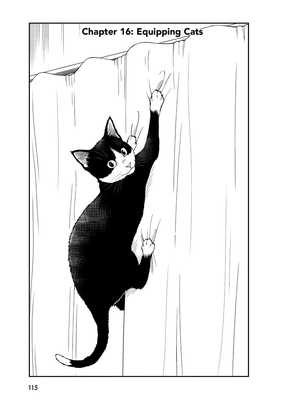 A Gamer Living with a Cat Chapter 16 page 1 - Chapter 16: Equipping Cats