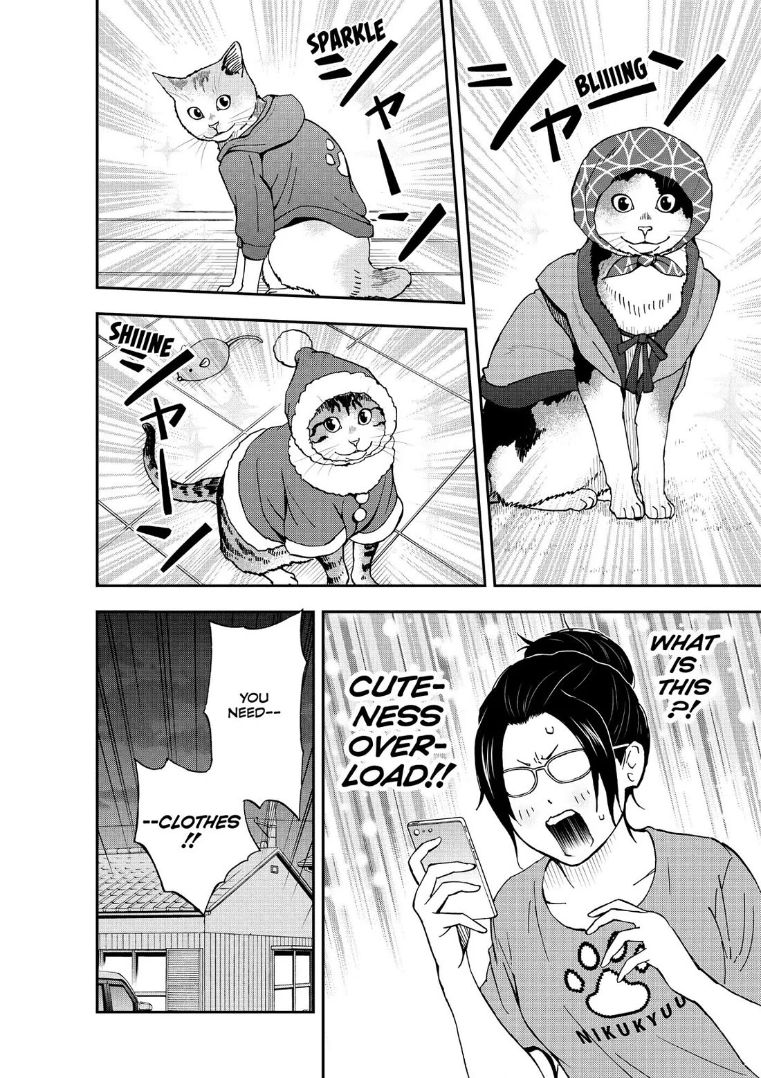 A Gamer Living with a Cat Chapter 16 page 6 - Chapter 16: Equipping Cats