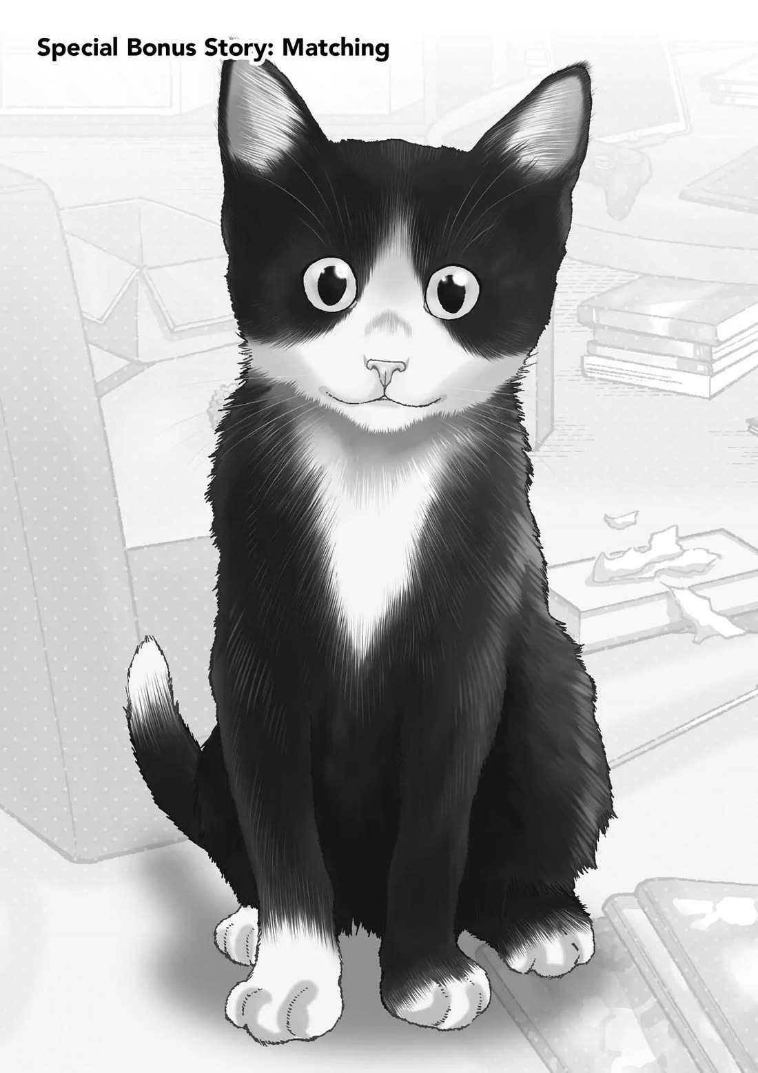 A Gamer Living with a Cat Chapter 17.5 page 1 - Chapter 17.5: Special Bonus Story: Matching