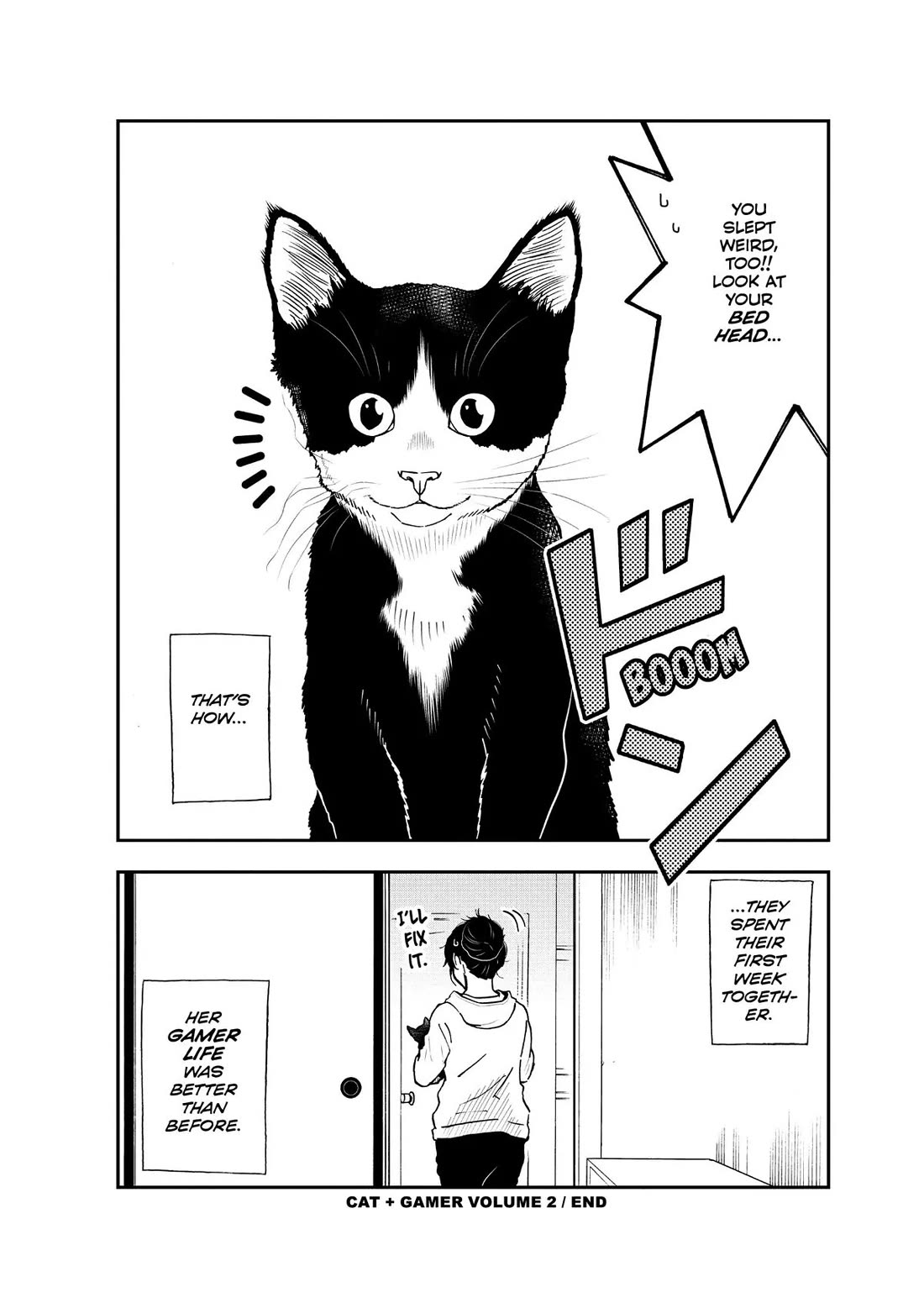 A Gamer Living with a Cat Chapter 17.5 page 14 - Chapter 17.5: Special Bonus Story: Matching
