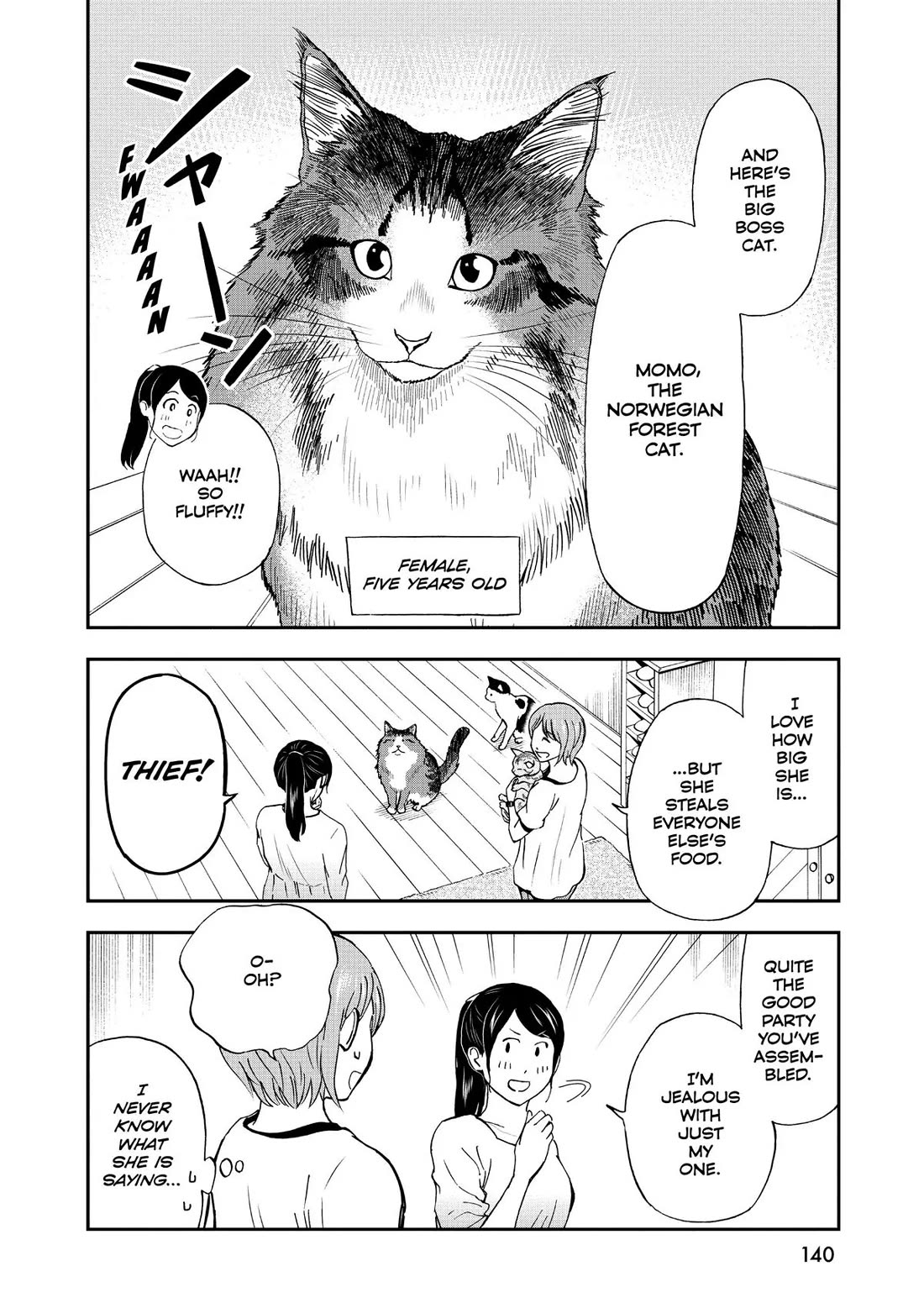 A Gamer Living with a Cat Chapter 17 page 10 - Chapter 17: First Cat Friend