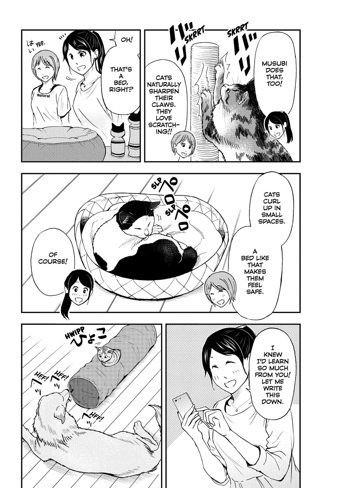 A Gamer Living with a Cat Chapter 17 page 13 - Chapter 17: First Cat Friend