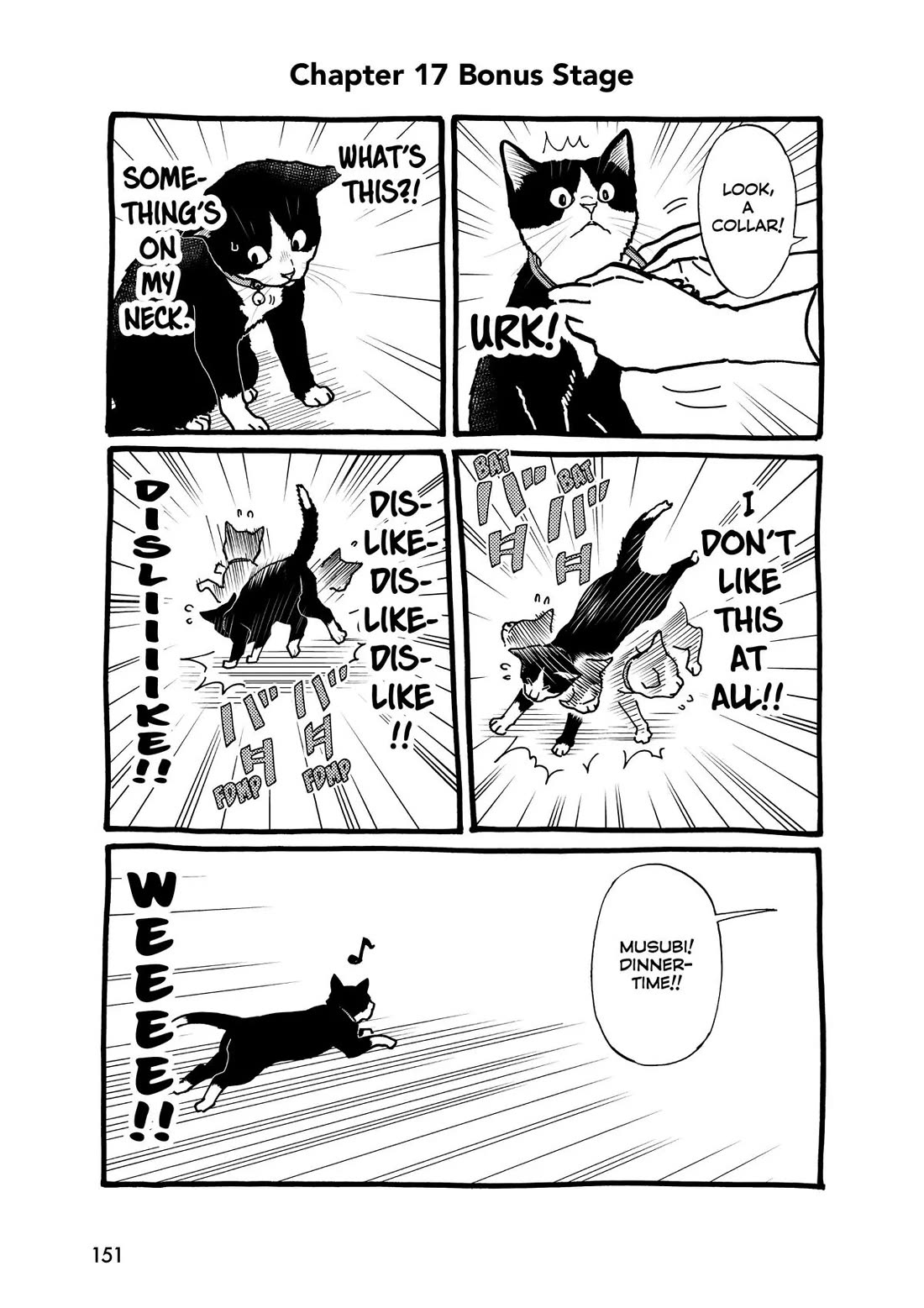 A Gamer Living with a Cat Chapter 17 page 21 - Chapter 17: First Cat Friend