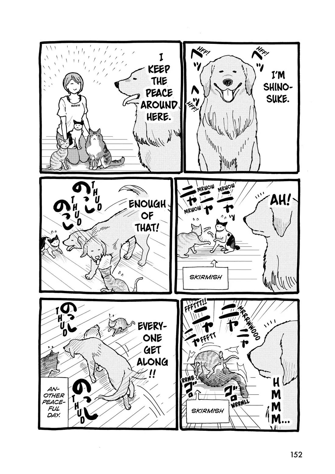 A Gamer Living with a Cat Chapter 17 page 22 - Chapter 17: First Cat Friend