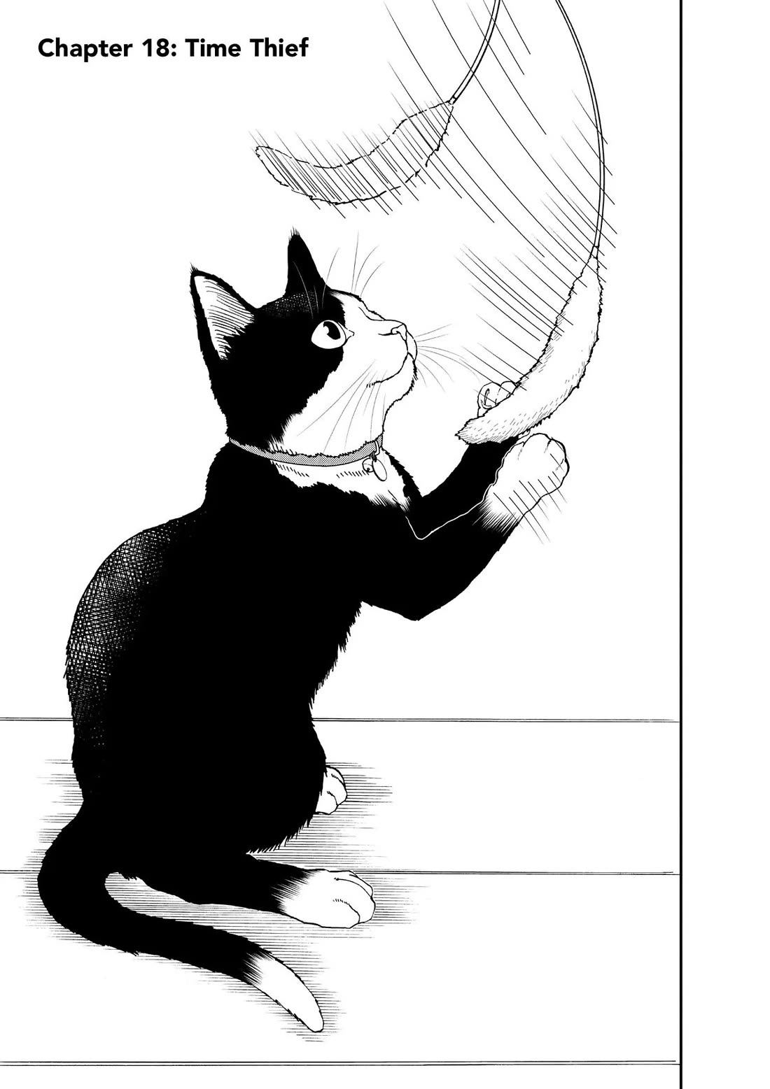 A Gamer Living with a Cat Chapter 18 page 2 - Chapter 18: Time Thief