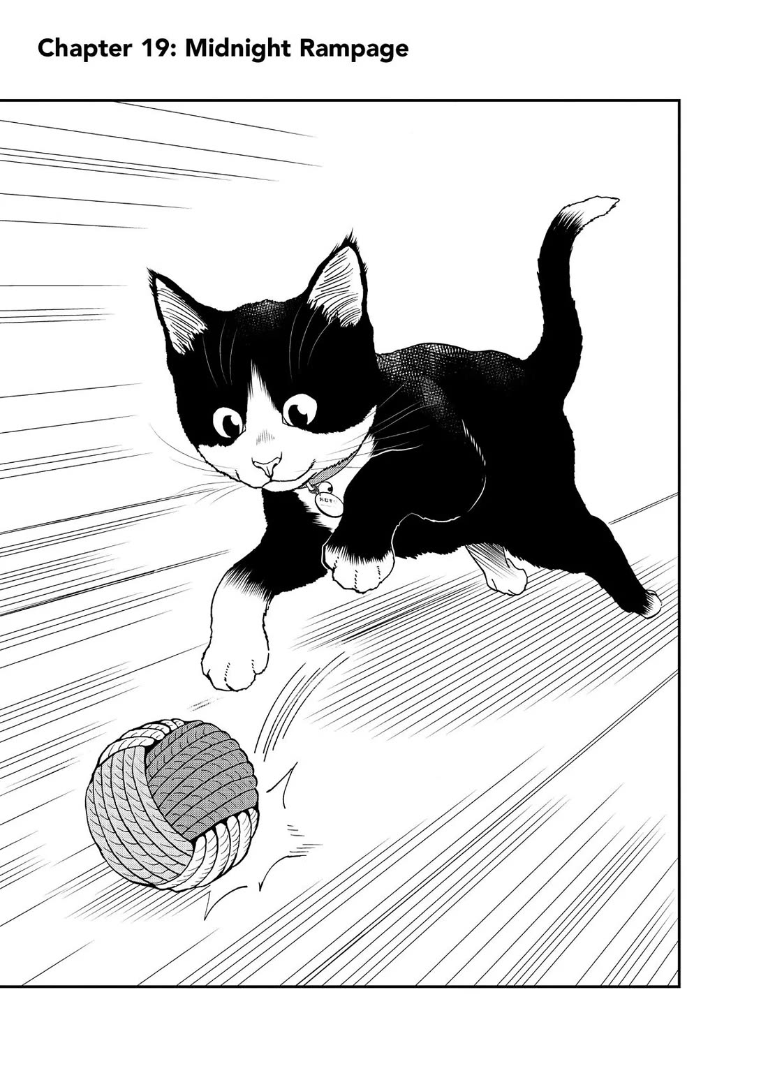 A Gamer Living with a Cat Chapter 19 page 1 - Chapter 19: Midnight Rampage