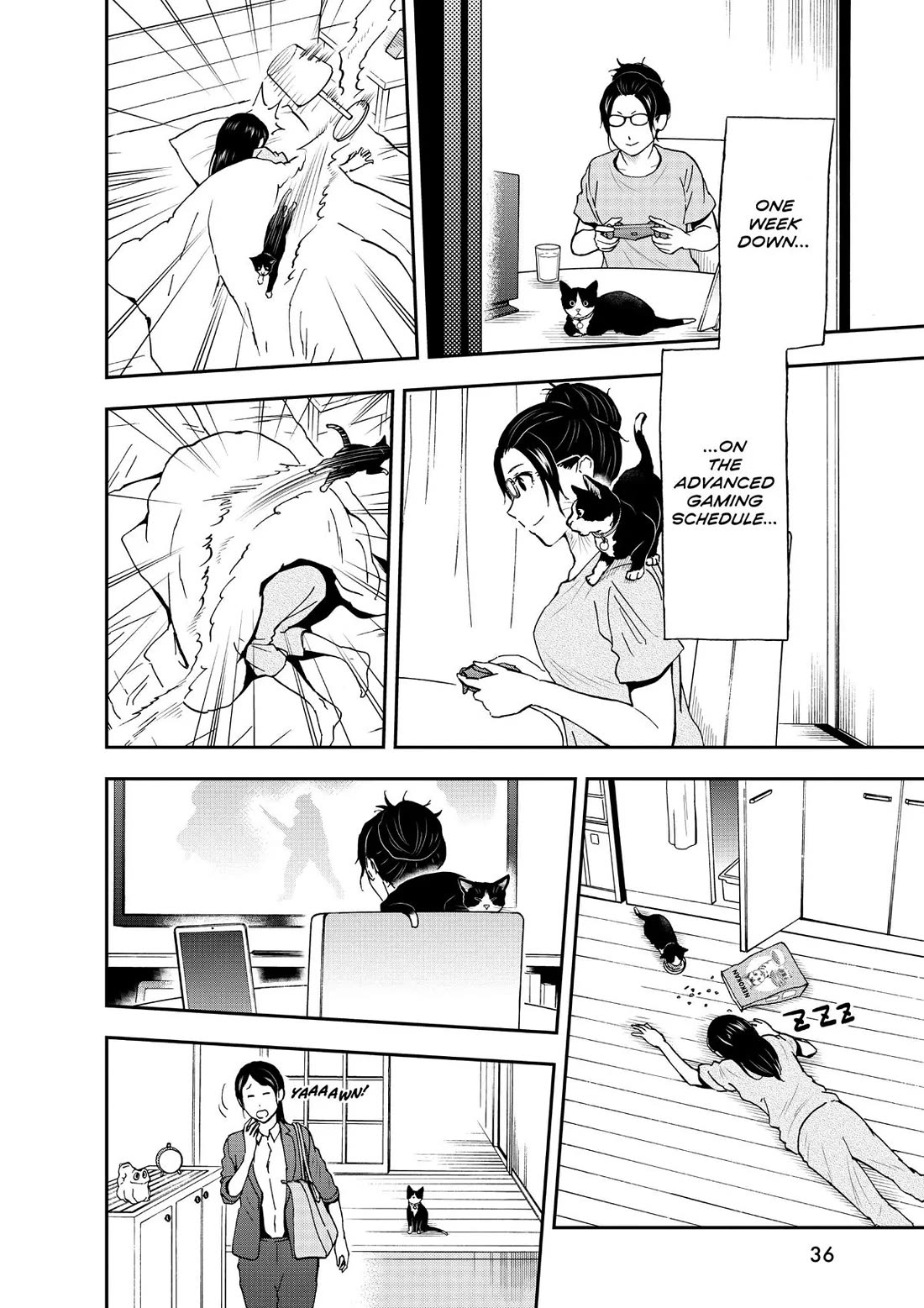 A Gamer Living with a Cat Chapter 19 page 16 - Chapter 19: Midnight Rampage