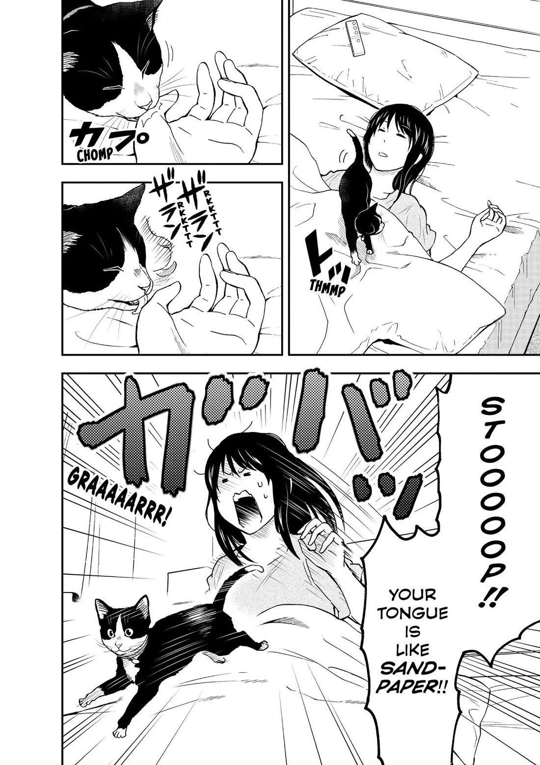 A Gamer Living with a Cat Chapter 19 page 8 - Chapter 19: Midnight Rampage