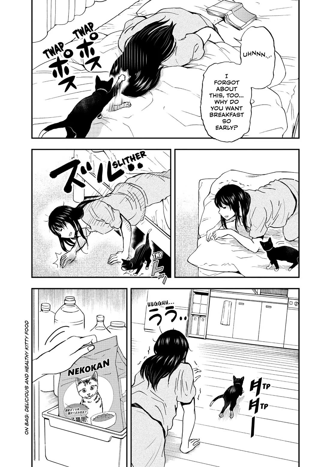 A Gamer Living with a Cat Chapter 19 page 9 - Chapter 19: Midnight Rampage