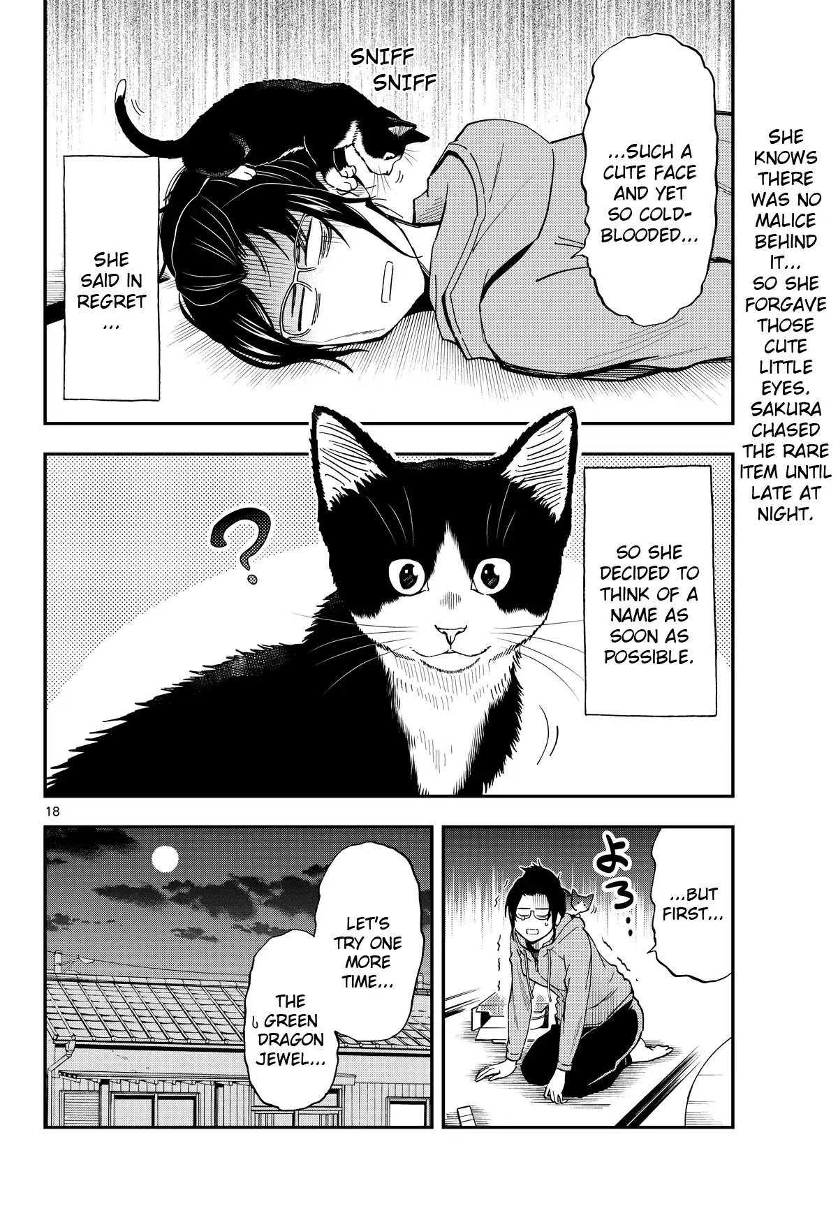 A Gamer Living with a Cat Chapter 2 page 18 - Chapter 2