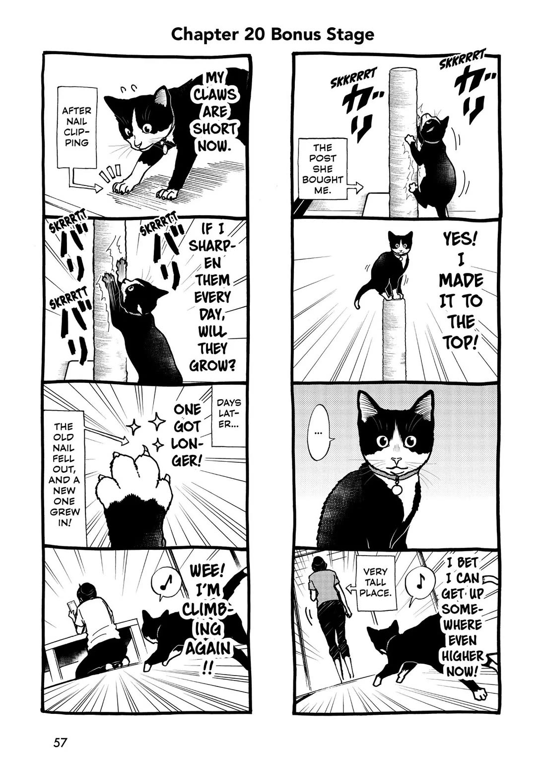 A Gamer Living with a Cat Chapter 20 page 17 - Chapter 20: Cute Assassin