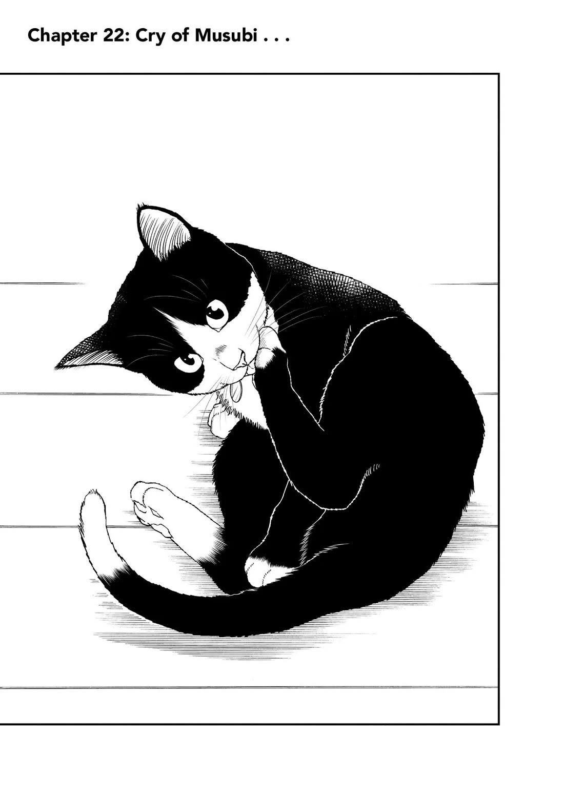 A Gamer Living with a Cat Chapter 22 page 1 - Chapter 22: Cry of Musubi...