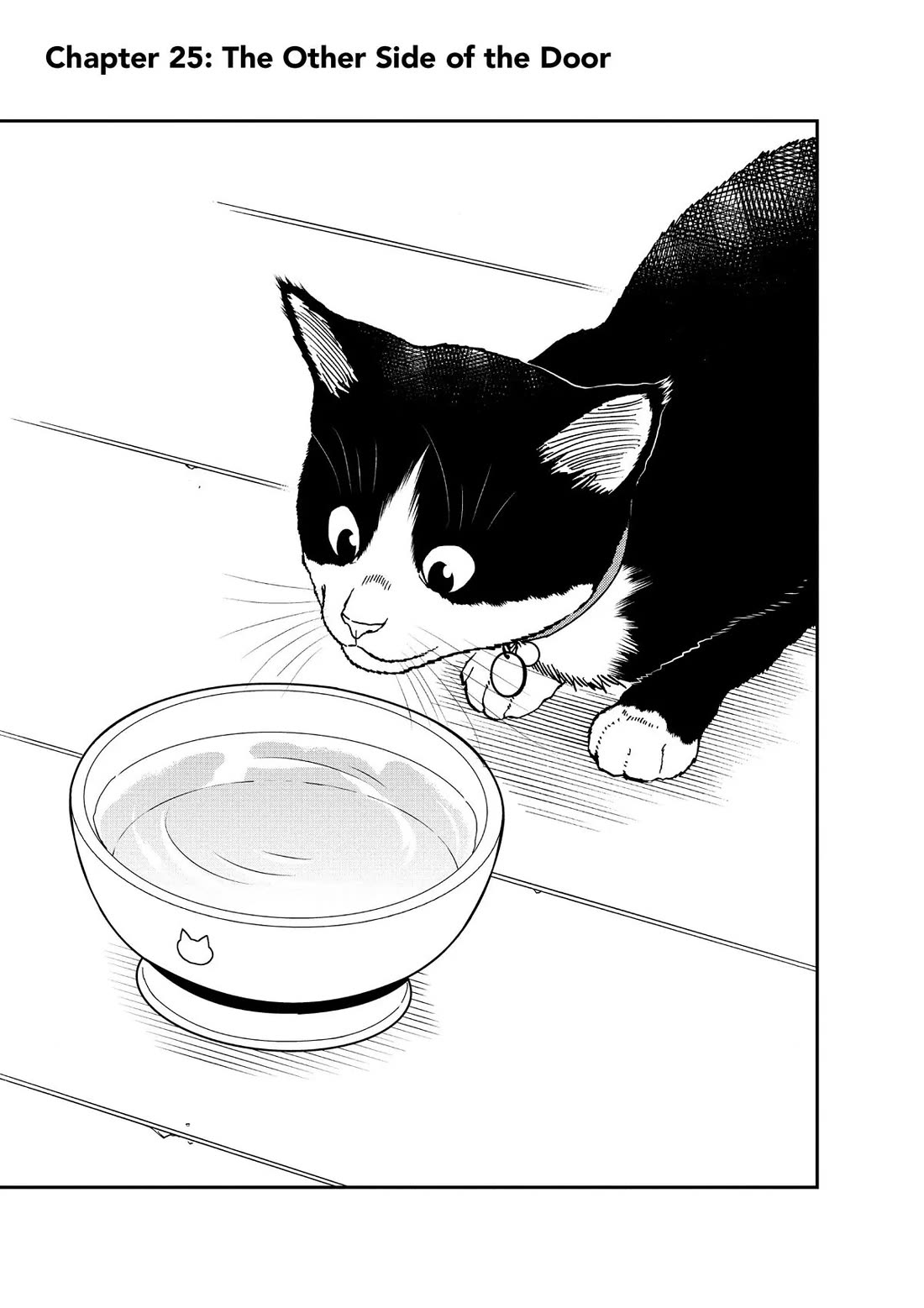 A Gamer Living with a Cat Chapter 25 page 1 - Chapter 25: The Other Side of the Door