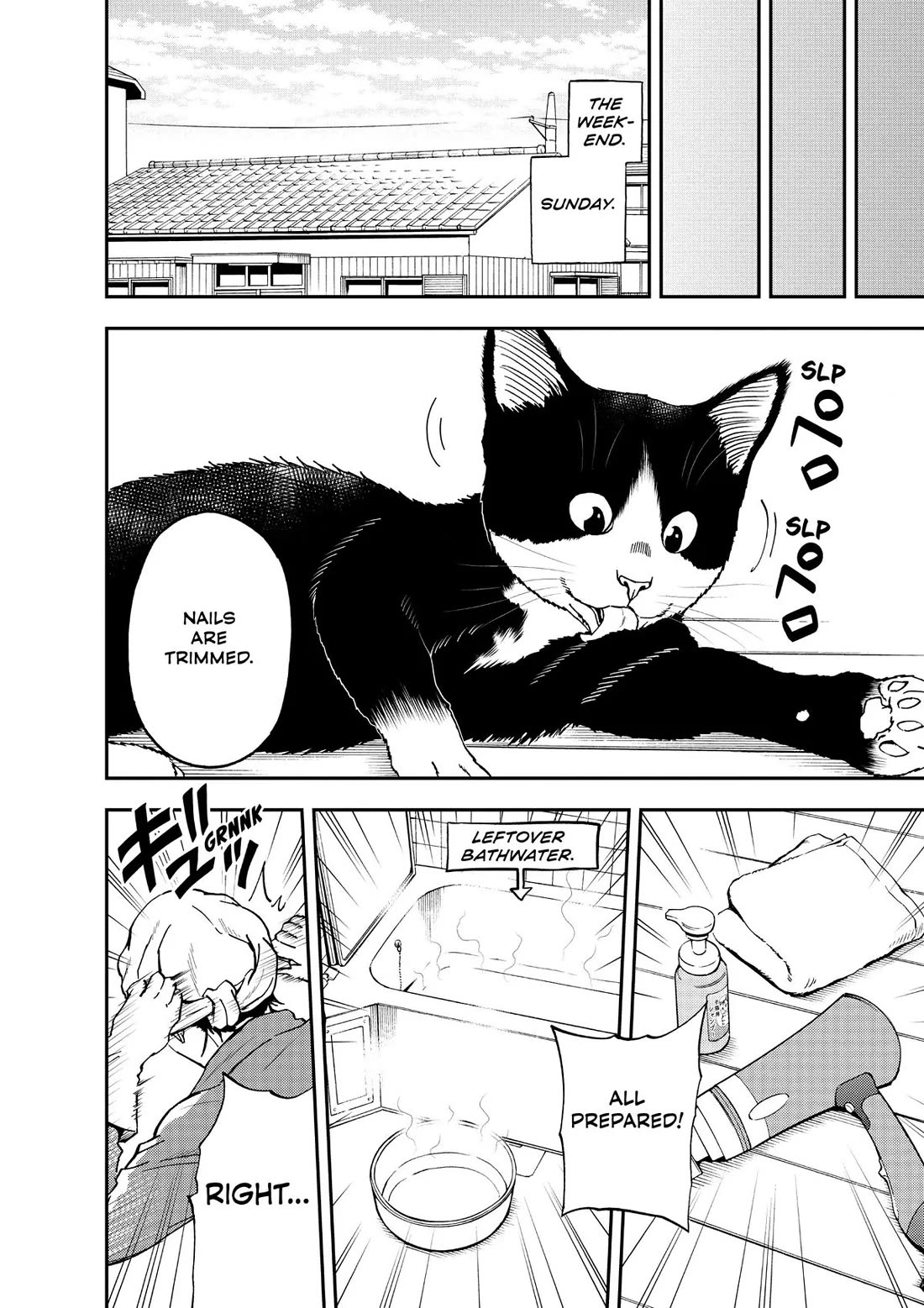 A Gamer Living with a Cat Chapter 25 page 10 - Chapter 25: The Other Side of the Door